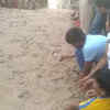 Article image for: Visakhapatnam: Forest officials released Olive Ridley Sea <i class="tbold">turtle hatchlings</i> in sea