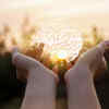 ​The limitation of the study