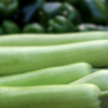 Article image for: <i class="tbold">bottle gourd</i>
