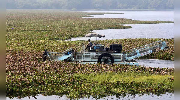 Small Sirpur pond