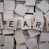 You get to learn