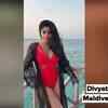 Article image for: Divyabharathi's Madlives <i class="tbold">vacation</i>