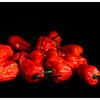 ​Bhut Jolokia