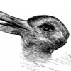 Do you see a rabbit or a duck?