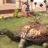 Article image for: Madhya Pradesh: Best out of Waste! Jabalpur-based Artist makes sculptures using scrap