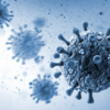 ​Coronavirus XE strain