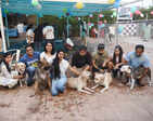 'Howli' Hai: A full day of fun, food, colour and fur babies!