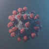 XE variant of coronavirus