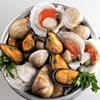 Shellfish