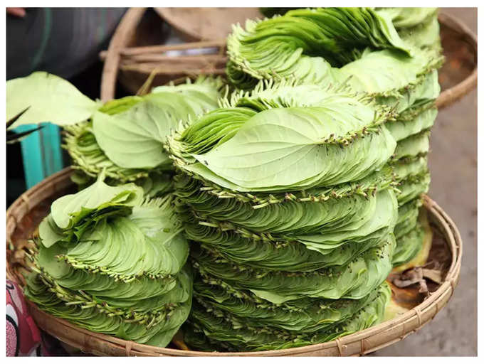 The story behind the tradition of using Paan leaves in foods and ...