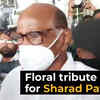 Article image for: <i class="tbold">nagpur airport</i>: NCP Supremo Sharad Pawar given a floral welcome by supporters amidst increased security
