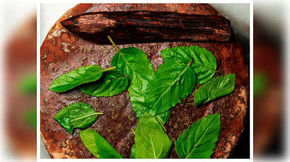 Basil