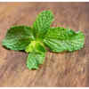 ​Mint