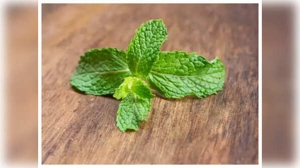 Mint