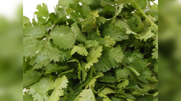 Coriander is widely grown and used all over the world; what are some other easy ways to incorporate coriander aside from cooking?