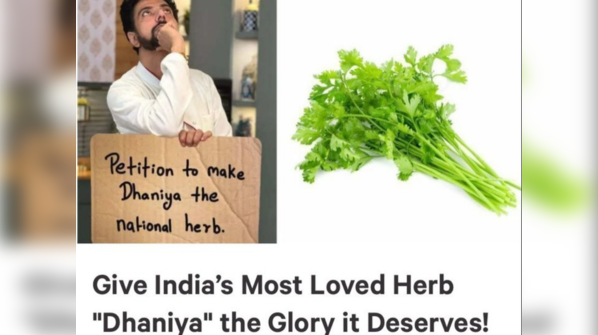 What was it that pushed you to promote this idea and the petition?