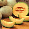 Cantaloupe melons