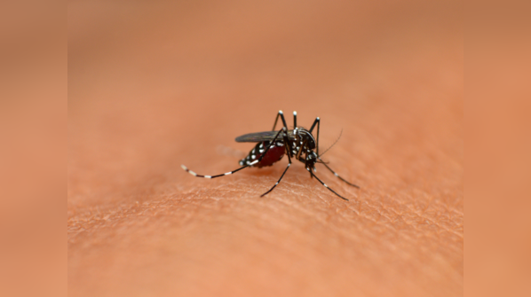 Malaria status in India