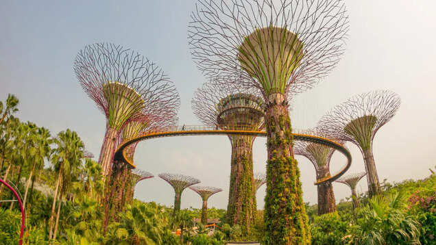 Plan a trip to Singapore as the country eases COVID-19 travel restrictions