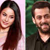 Shehnaaz Gill in Salman Khan’s upcoming film