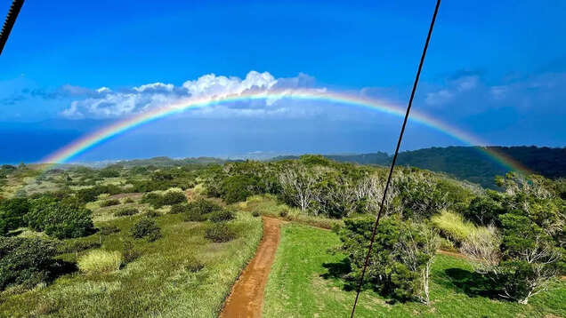 Hawaii's longest suspension bridge hangs at 1600 ft above the Maui coastline!