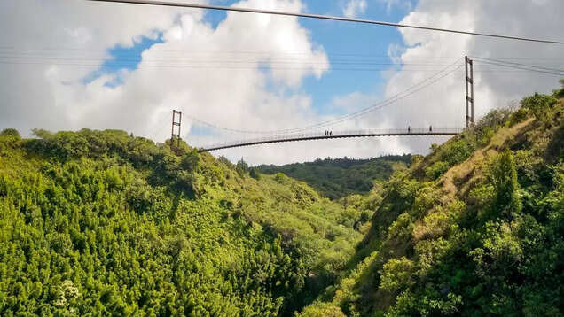 Hawaii's longest suspension bridge hangs at 1600 ft above the Maui coastline!