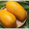 ​Why should you soak mangoes before eating?