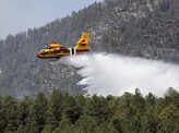 Wildfire engulfs pine forests in New Mexico