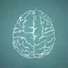 Article image for: Beetroot for better <i class="tbold">cognitive function</i>