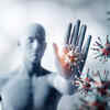 The role of immunity