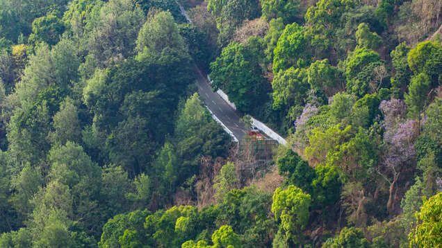 What to expect at the 45th Yercaud Summer Festival?