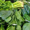Green vegetables and fruits