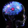 Long term impact on brain