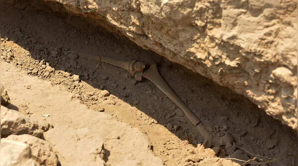 Rakhigarhi dig reveals planned Harappan city