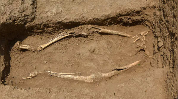 Rakhigarhi dig reveals planned Harappan city