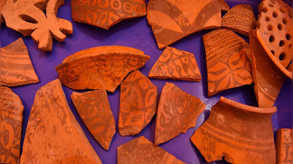 Rakhigarhi dig reveals planned Harappan city