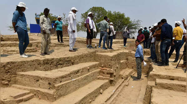 Rakhigarhi dig reveals planned Harappan city