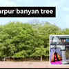 Article image for: Gandhinagar: Kantharpur banyan tree to be converted into a <i class="tbold">religious tourism</i> site worth Rs 14.96 crore