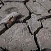 Article image for: Las Vegas: Water level falls in drying lake, unidentified human remains found