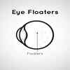 eye floater