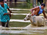 Flood displaces around 57,000 people in Assam