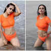 Article image for: <i class="tbold">Neha Malik</i> grabs attention as she poses in an orange bikini