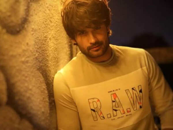 Vivian Dsena