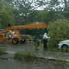 In pics: Trees uprooted, traffic hit after heavy rain in Delhi-NCR