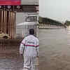 In pics: Trees uprooted, traffic hit after heavy rain in Delhi-NCR