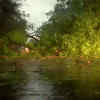 In pics: Trees uprooted, traffic hit after heavy rain in Delhi-NCR