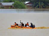 Flooding leaves millions homeless and dozens dead in Assam; see pics