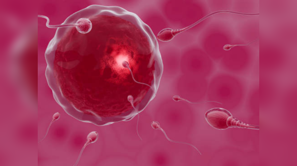 Can COVID affect sperm motility?