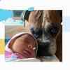 Article image for: Things to keep in mind while introducing your pet and baby