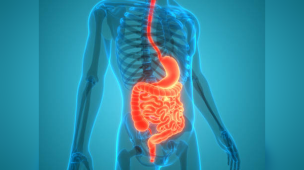 Vitamin B12: Key points to know